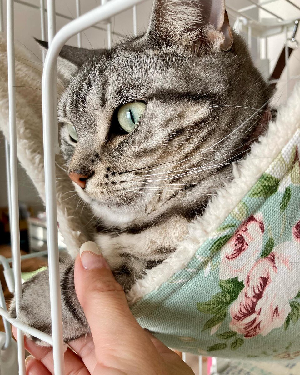 SimaNicholw1ps's tweet photo. ミンちゃんに握手会してもらいました！
完全に一方通行でした🤣 https://t.co/xJgAaad1Ez