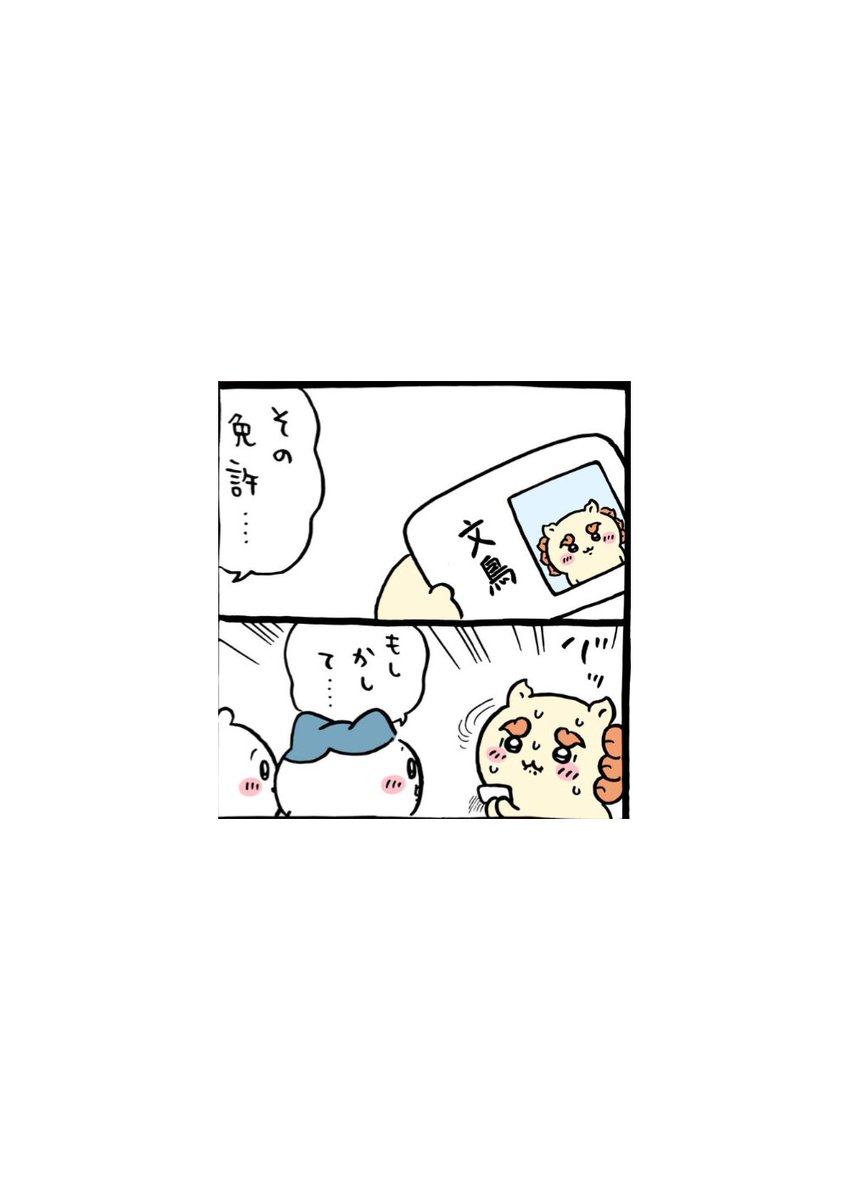 XLBunchou's tweet photo. カイヌシ免許 https://t.co/WgzNIgq3Pq