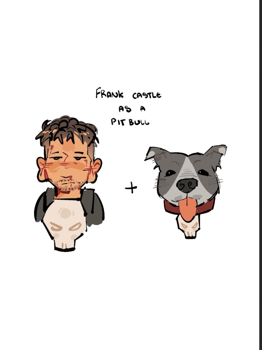bytberri's tweet photo. pitbull frank castle is real

#frankcastle https://t.co/V8V6h07bRt