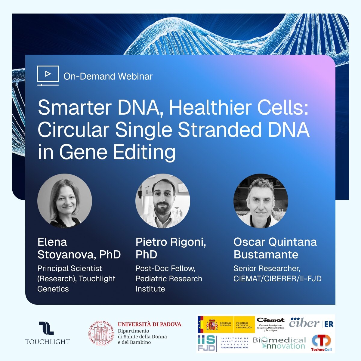 TouchlightDNA's tweet photo. If you're working on next-gen cell therapies for inherited hematopoietic diseases, discover how we are enabling highly efficient, non-viral HDR in primary human CD34⁺ HSPCs, with knock-in efficiencies superior to #AAV and plasmid DNA. Access it here: https://t.co/8WtOvm5MiI https://t.co/FjCQtmlE1a