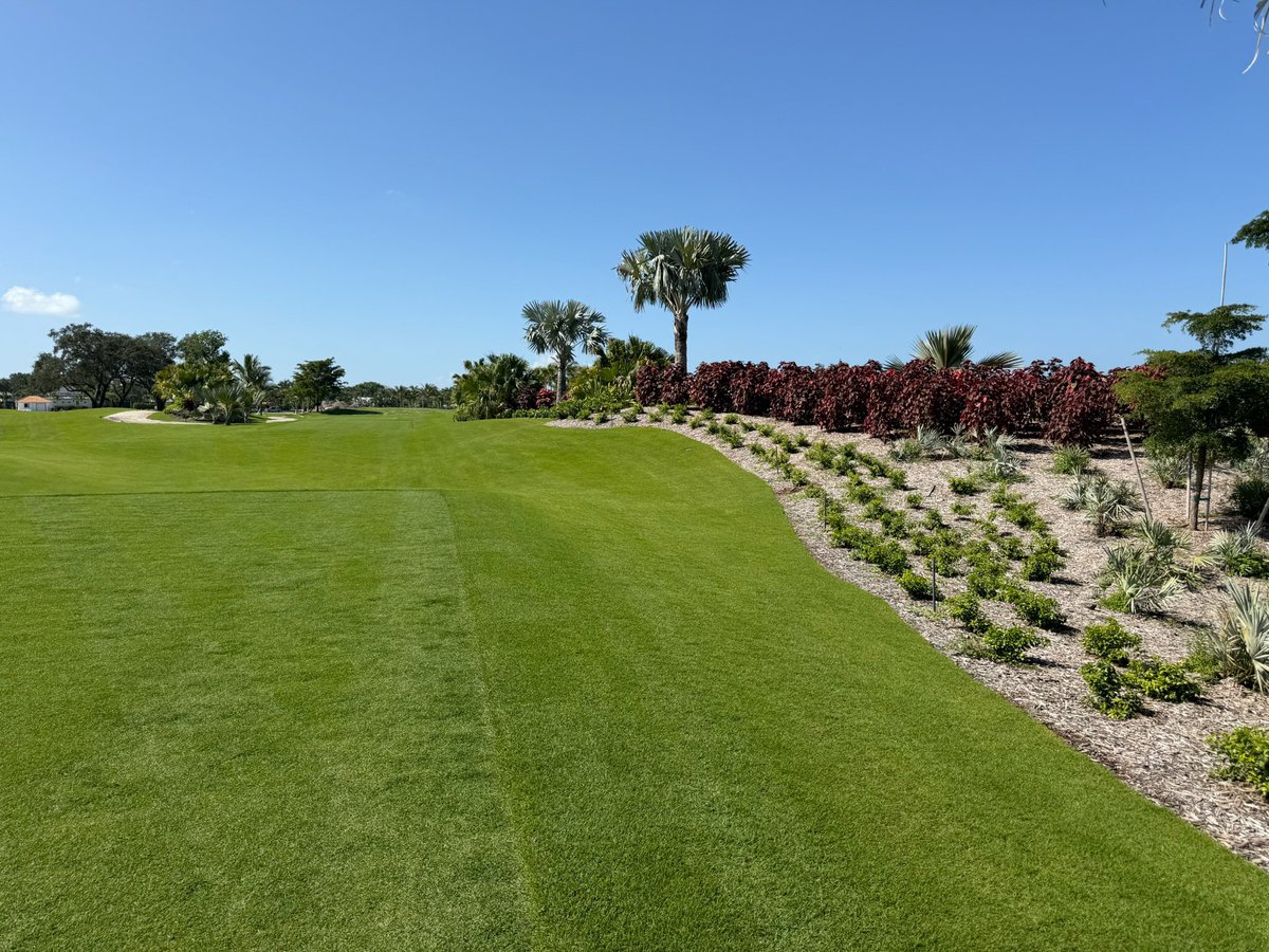 TotalTurfGS's tweet photo. Another milestone at Naples Beach Club: sprigs are planted on the fairways and tees of the final two holes, and the greens continue to grow in beautifully. It’s been a long project with plenty of challenges, but the finish line is in sight. Incredible progress by the team. https://t.co/CRvTlUVAyl