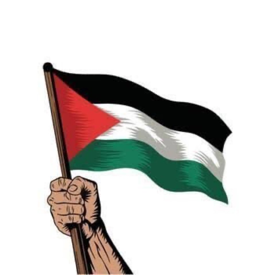 joseamnolla's tweet photo. THE STATE OF PALESTINE HAS GAINED WORLD RECOGNITION https://t.co/g03HfKFWJT