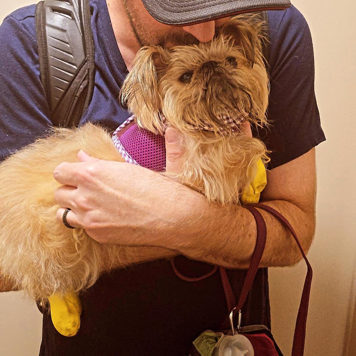 StephaniClkxp's tweet photo. Monday. We ride at dawn—or whenever I’m ready. By “ride, ” I mean Papa carries me. One Jaggy a day keeps the blues away. https://t.co/d1WaFVvvQQ