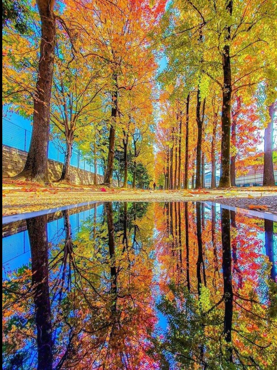 __Earthpictures's tweet photo. https://t.co/BWrrEjOLUA