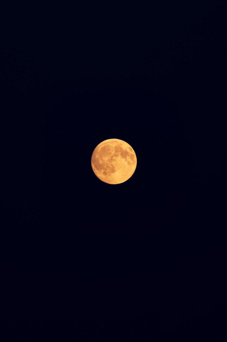 mariekeNFT's tweet photo. Looking at the Moon is never the same since March 2, 2025. Making art of the faraway place where my art is  😍🌕 https://t.co/xdksUZvu8c