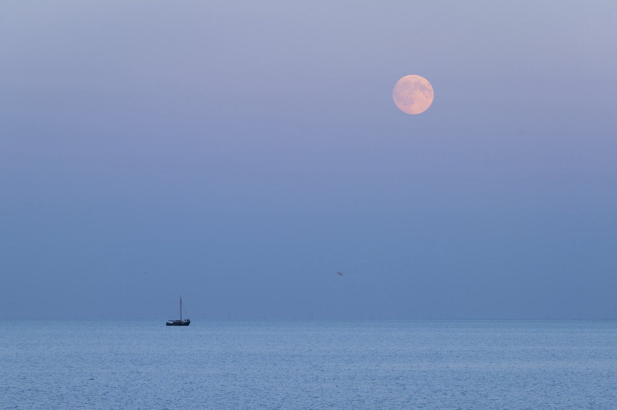 mariekeNFT's tweet photo. Looking at the Moon is never the same since March 2, 2025. Making art of the faraway place where my art is  😍🌕 https://t.co/xdksUZvu8c