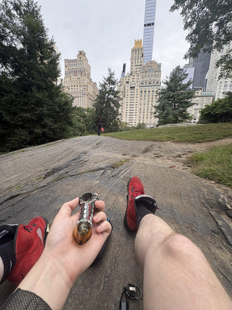 ibenchillingg's tweet photo. afternoon sesh at central park :33333 https://t.co/ADFuu79cd0