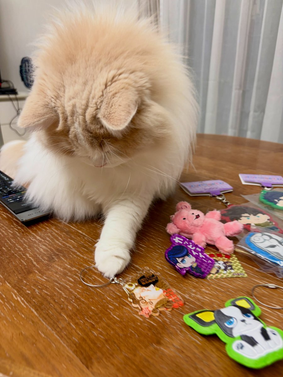SimaNicholw1ps's tweet photo. 夏休みのジョジョワールドで買ったお土産たち。総額いくら使ったんだろう？ https://t.co/KU2ST3dudd