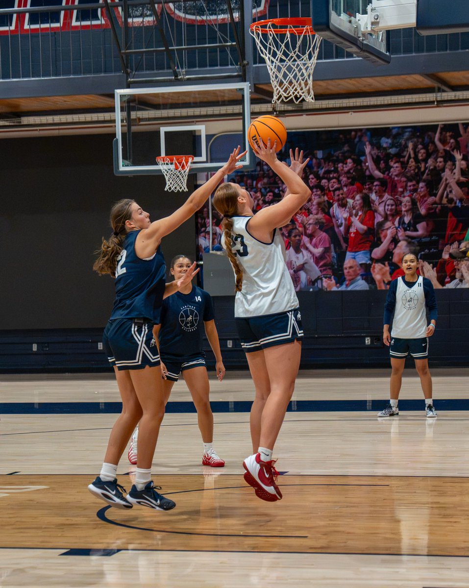 SamfordWBB's tweet photo. Setting the tone 🐶🏀

#AllForSAMford https://t.co/niIaqtEV19