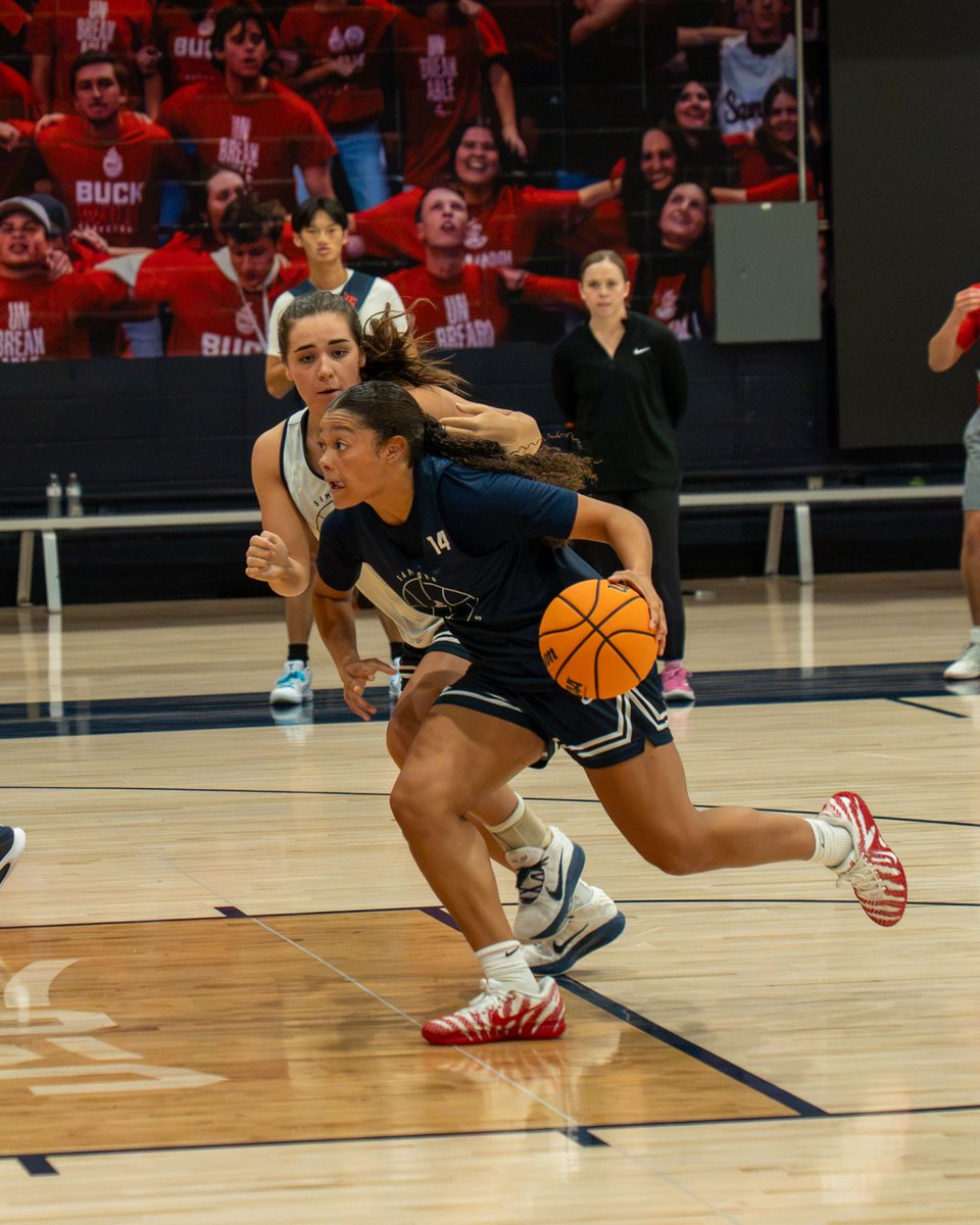 SamfordWBB's tweet photo. Setting the tone 🐶🏀

#AllForSAMford https://t.co/niIaqtEV19