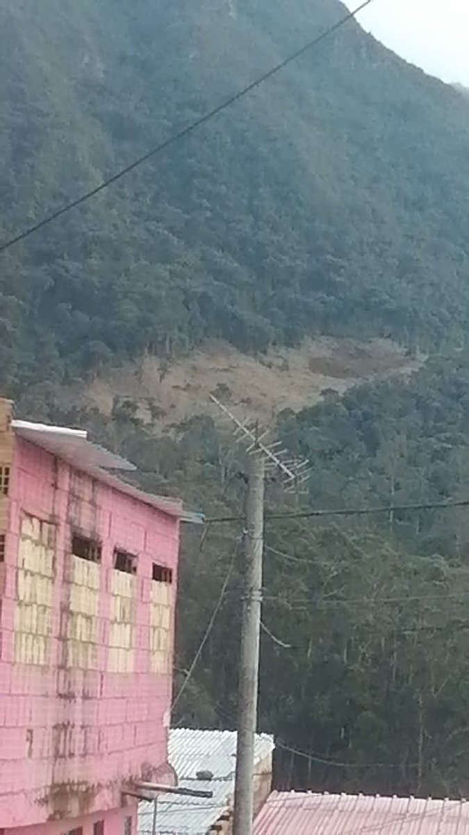 heidy_up's tweet photo. #Denuncia | La comunidad de la UPZ La Flora, en #Usme, denuncia las intervenciones que se vienen realizando sobre los Cerros Orientales y advierte sobre el riesgo que estas actuaciones podrían representar para la Estructura Ecológica Principal, pues se está presentando una tala masiva de árboles en la zona. Según la comunidad, se estarían talando también árboles nativos para desarrollar un piloto de restauración ecológica, pese a tratarse de un área que cuenta con cobertura vegetal y bosque altoandino.

De acuerdo con la valla instalada en el lugar, se trata del Contrato de Obra No. CAR LP-1650-2026, suscrito con BIHAO SAS, cuyo objeto es la “implementación de pilotos de rehabilitación ecológica en áreas con invasiones de especies forestales exóticas y colonización de pioneras agresivas” en la Reserva Forestal Protectora Bosque Oriental de Bogotá, por un valor cercano a $1.763 millones. Lo preocupante de la situación es que la comunidad ha señalado que para ejecutar este piloto se están realizando intervenciones sobre bosque existente, y se ha presentado la tala de especies ya nativas. 

Por ende, le solicitamos a la @CAR_Cundi explicar con detalle el sustento técnico, las especies intervenidas, las áreas autorizadas y los criterios utilizados para determinar qué vegetación debe ser retirada para llevar a cabo este contrato; y que todo esto sea socializado con la comunidad porque la protección de los Cerros Orientales exige transparencia y participación de las comunidades que habitan el territorio.