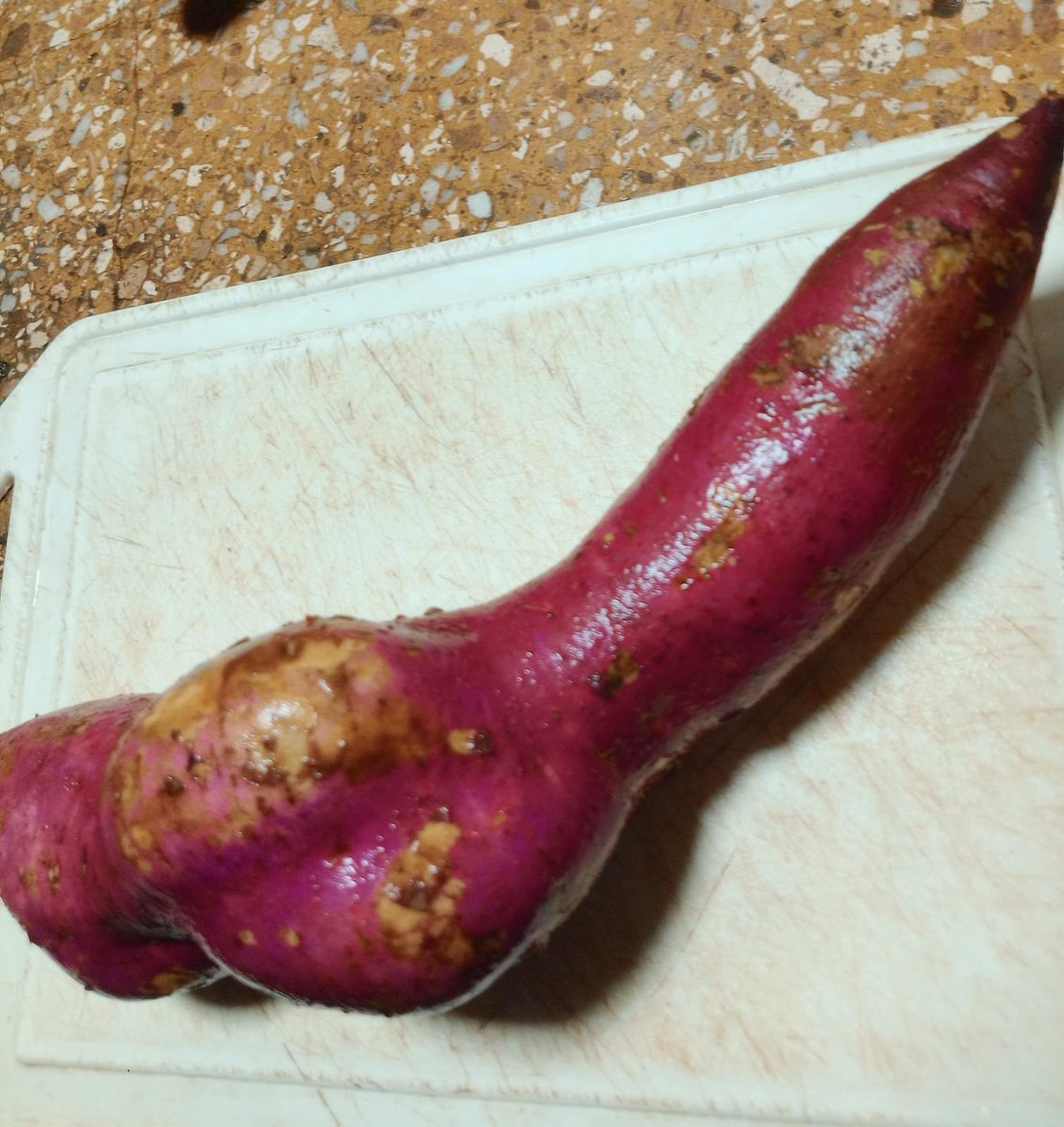BrunovAriel's tweet photo. Miren chicos. Una batata en forma de poronga https://t.co/cYn7xkUTez