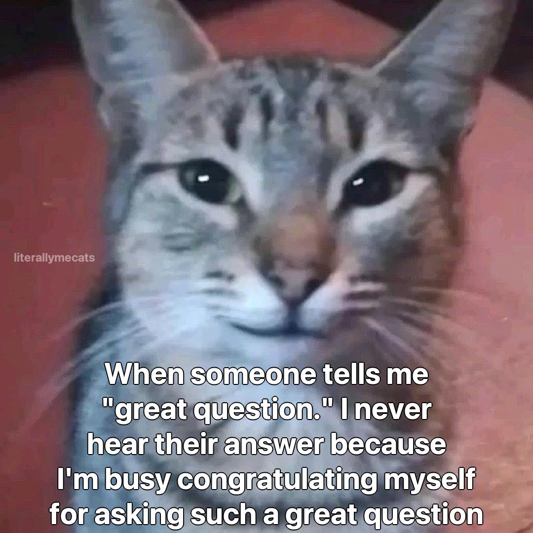 literallymecats's tweet photo. https://t.co/7uUXDkWyWi