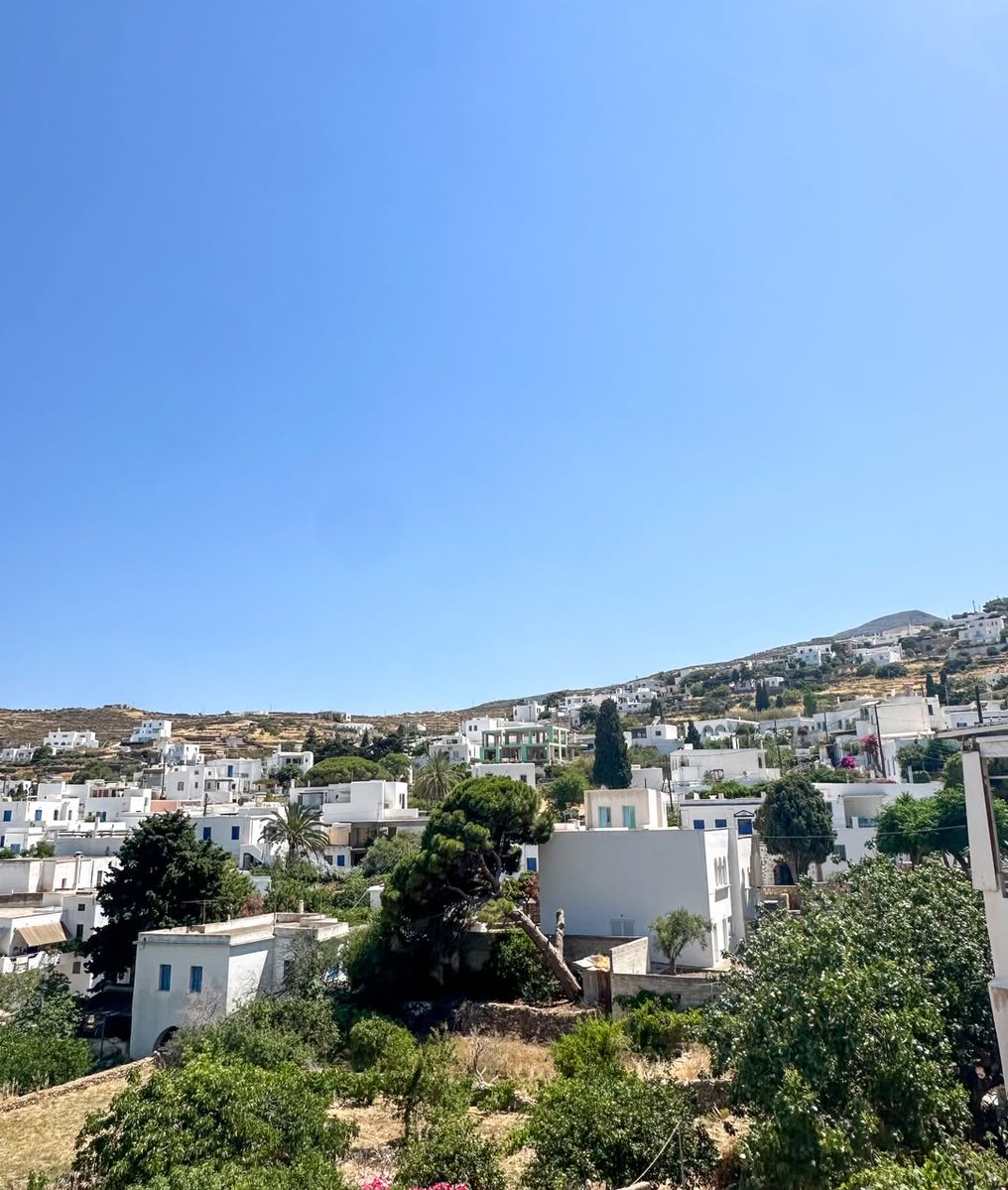diego_r_pctb's tweet photo. I’ll miss everything about Paros except for the cat that bit me https://t.co/ZIPFbFOs9B