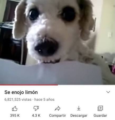 6helas's tweet photo. estoy un poco muy así https://t.co/CeY5NY7idY