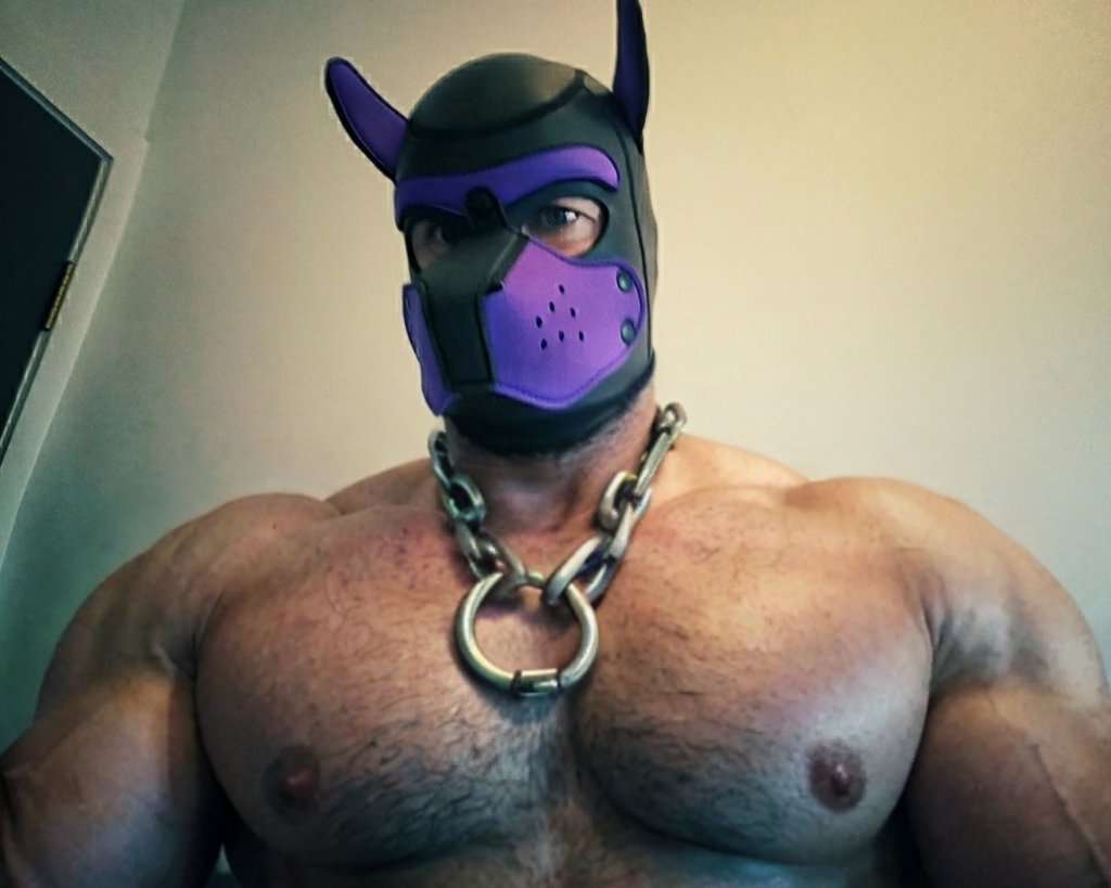 OxAust's tweet photo. Big dawg with a big chain ⛓️ 🐶 https://t.co/su0dYnSyzY