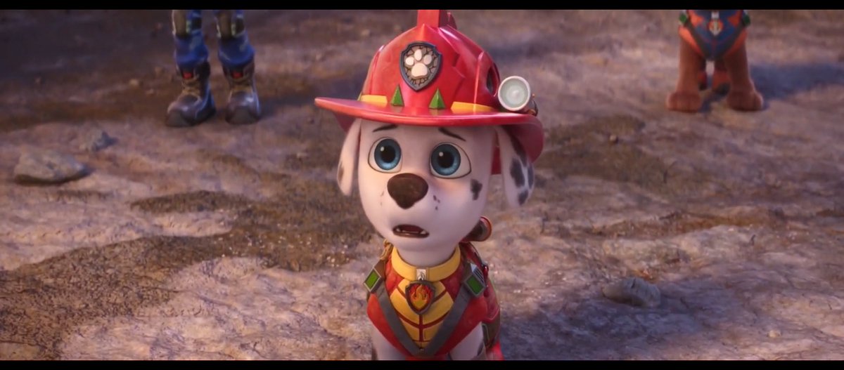 Maf_0303's tweet photo. Rhubarb is still out there - 🔥❤
-
-
-
If you haven't already, please follow @Maf_0303 and the leaders ❤️❤️❤️ 
@Marshall_Ruff03 , @Marshall_Fire03 , and @MarshallFan2026 https://t.co/xZF1ehumr4