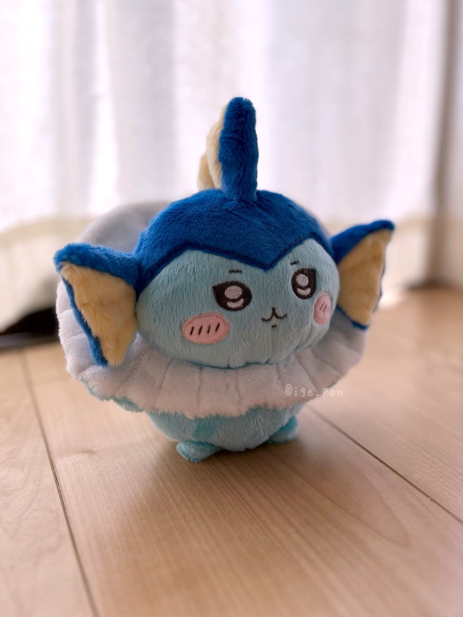 ige_pon's tweet photo. ちいかわ風のシャワーズぬいぐるみつくりました🧜🐠
自作型紙によるファンアートです«\(*´ω`*)/»

これでブイズが全員そろいました«\(*´ω`*)/»🌟🌟展示会でみんな並べます(*´◒`*)✨
#ポケモン手芸部 #pokemonfanart https://t.co/msZIknLySm