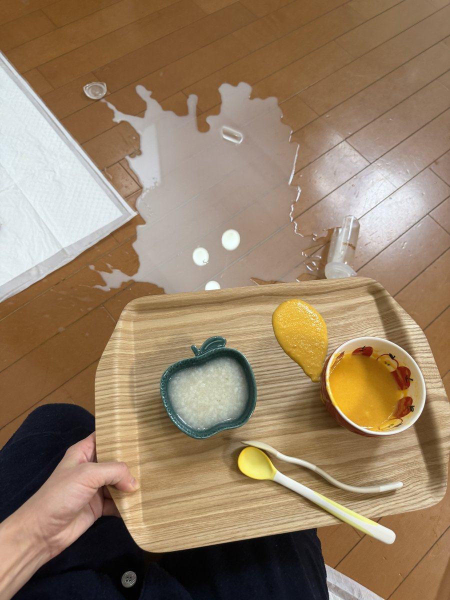 musuko_to's tweet photo. 夫にやらかしを送ったらやらかした瞬間のペットカメラの録画送り付け返された。
リピートすな、しばくぞ。 https://t.co/YHfLc8lgKa