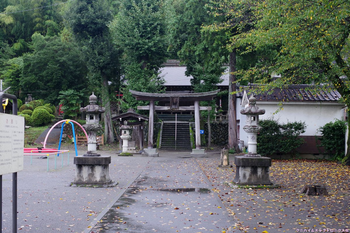 kuni4z's tweet photo. わざと雨の日で撮ってみました～近所の春日神社に咲いている彼岸花が綺麗です。数日で咲き終わるかな？pentax K-1 Mk-2+Da35mm #pentax #花 https://t.co/VXjZjkV6OR
