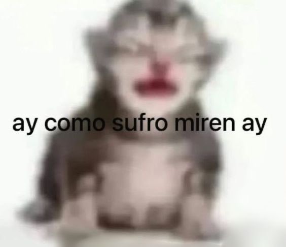 kazooAnt's tweet photo. @Nasho_we oye we, el late te quiere invitar a la boda, va a ir el último israeli https://t.co/CCsvcEXi7d