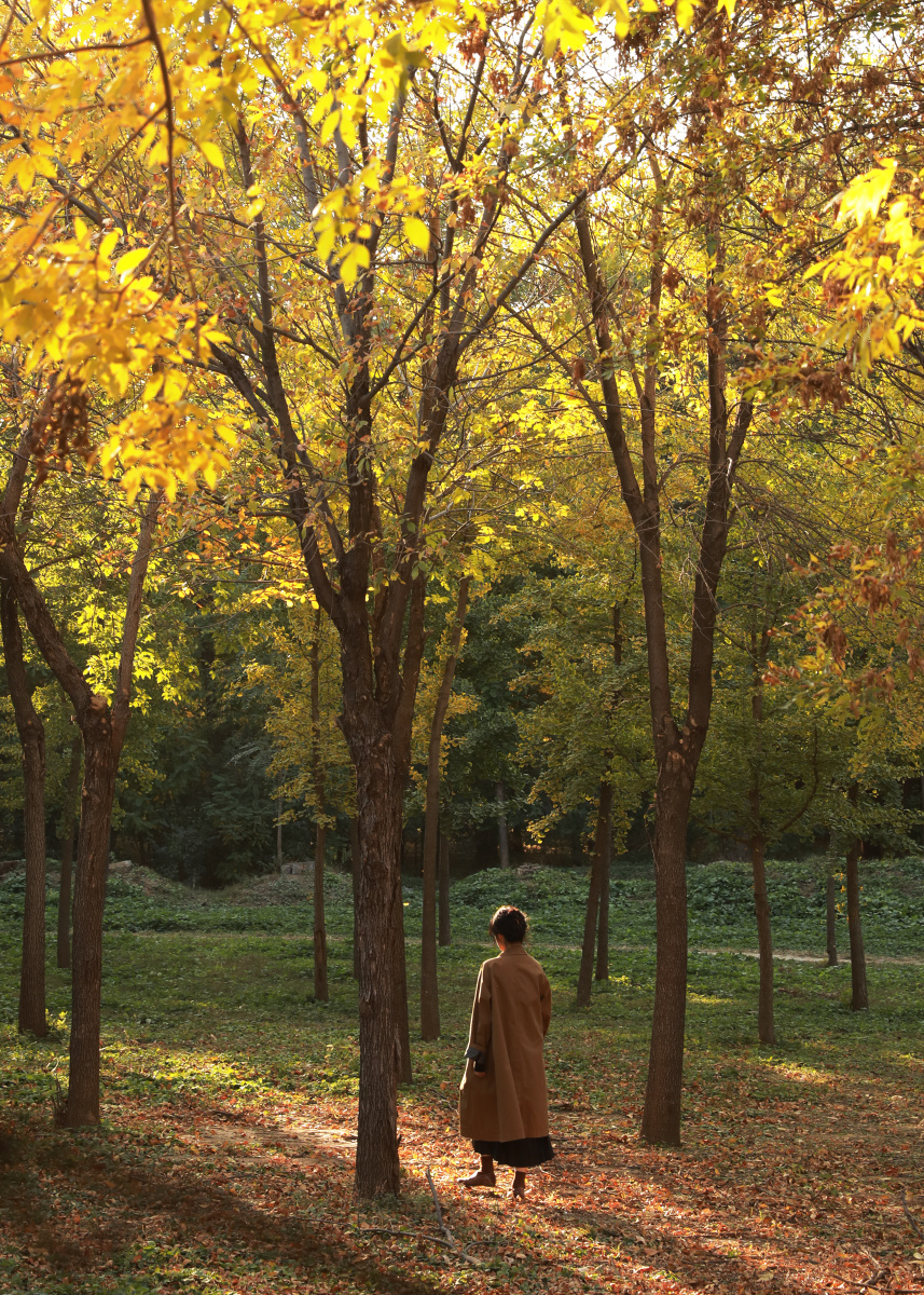 ReneeAmini0vg's tweet photo. Autumn breeze, falling leaves, and a warm latte in hand  Perfect cozy afternoon!， https://t.co/iCds4NYHOp
