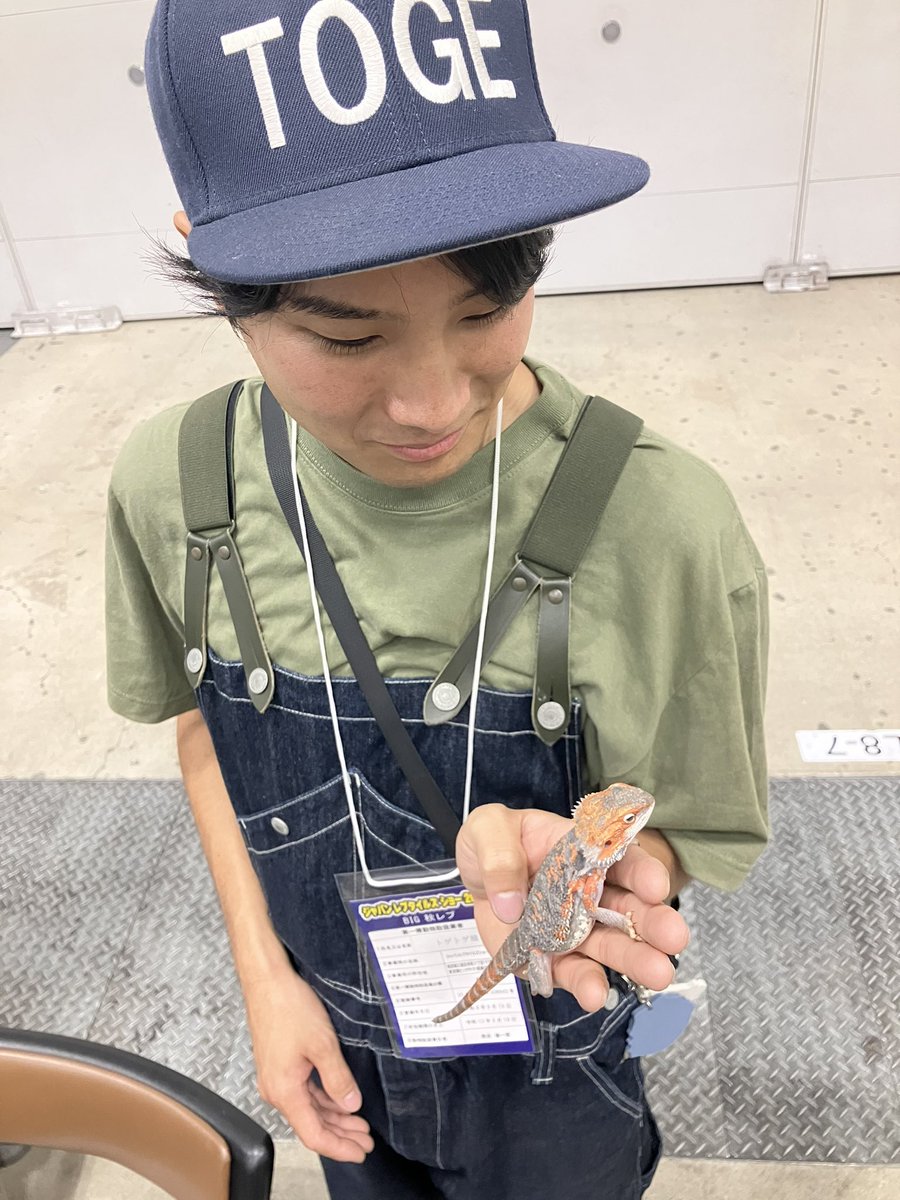 KjrzeWiztWroDn's tweet photo. easyさんとこのパラド可愛かったなぁ〜 https://t.co/9G7JcSd8Cu