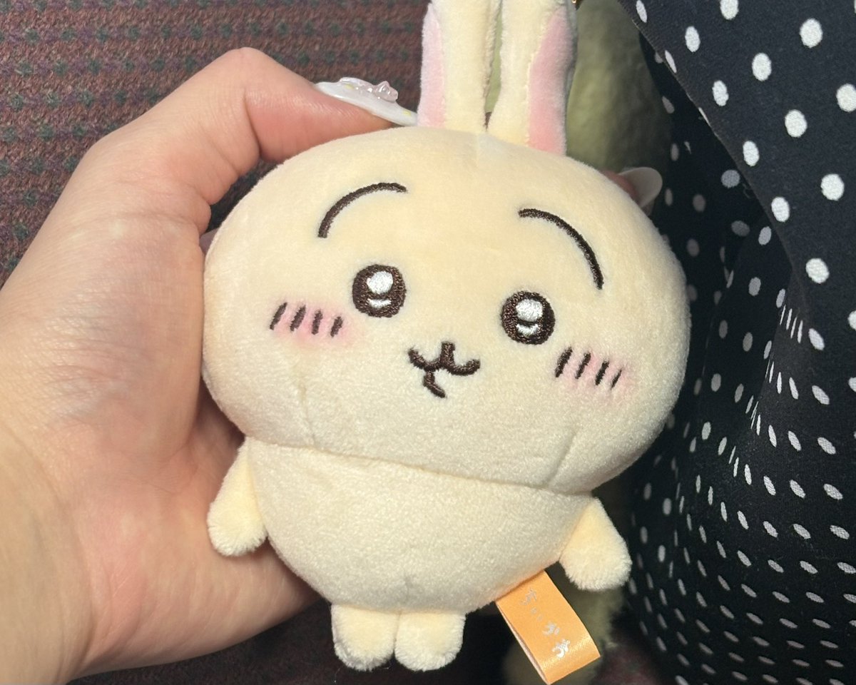 KINSEI_RM's tweet photo. 新入りちゃん🐰
（アニメ見てうさぎが好きになっちゃった）

 #きいちゃんキラキラナンバーワン
当日券情報も公式Xにて出たのでチェックしてね☆

 今日はよろしくお願いいたします💛 https://t.co/MxF9bk5qK0