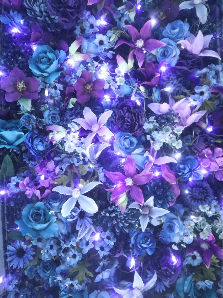 pinguin29566451's tweet photo. #TLを花でいっぱいにしよう https://t.co/uzV37auo1j