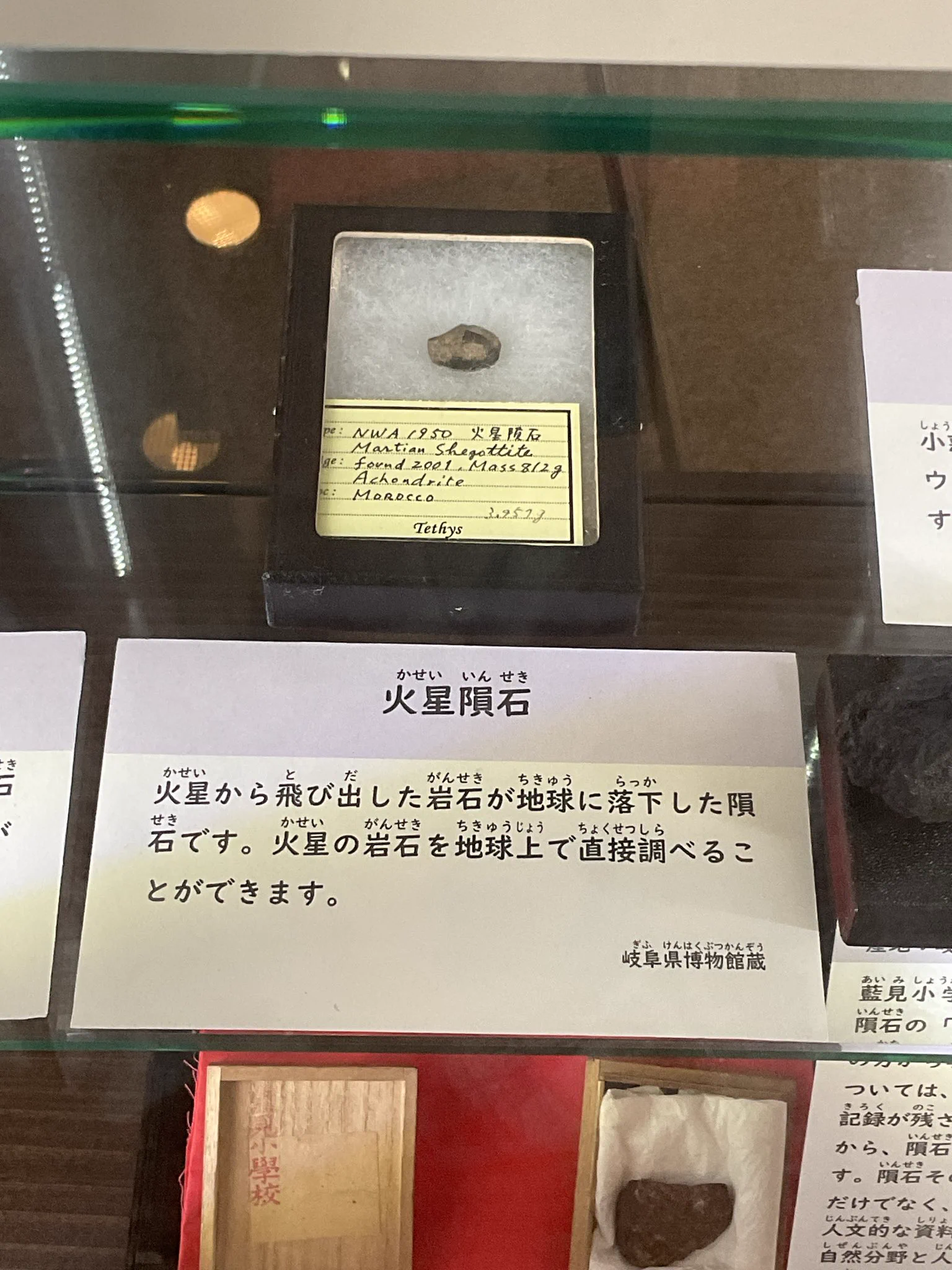 岐阜県博物館【公式】 on X: 
