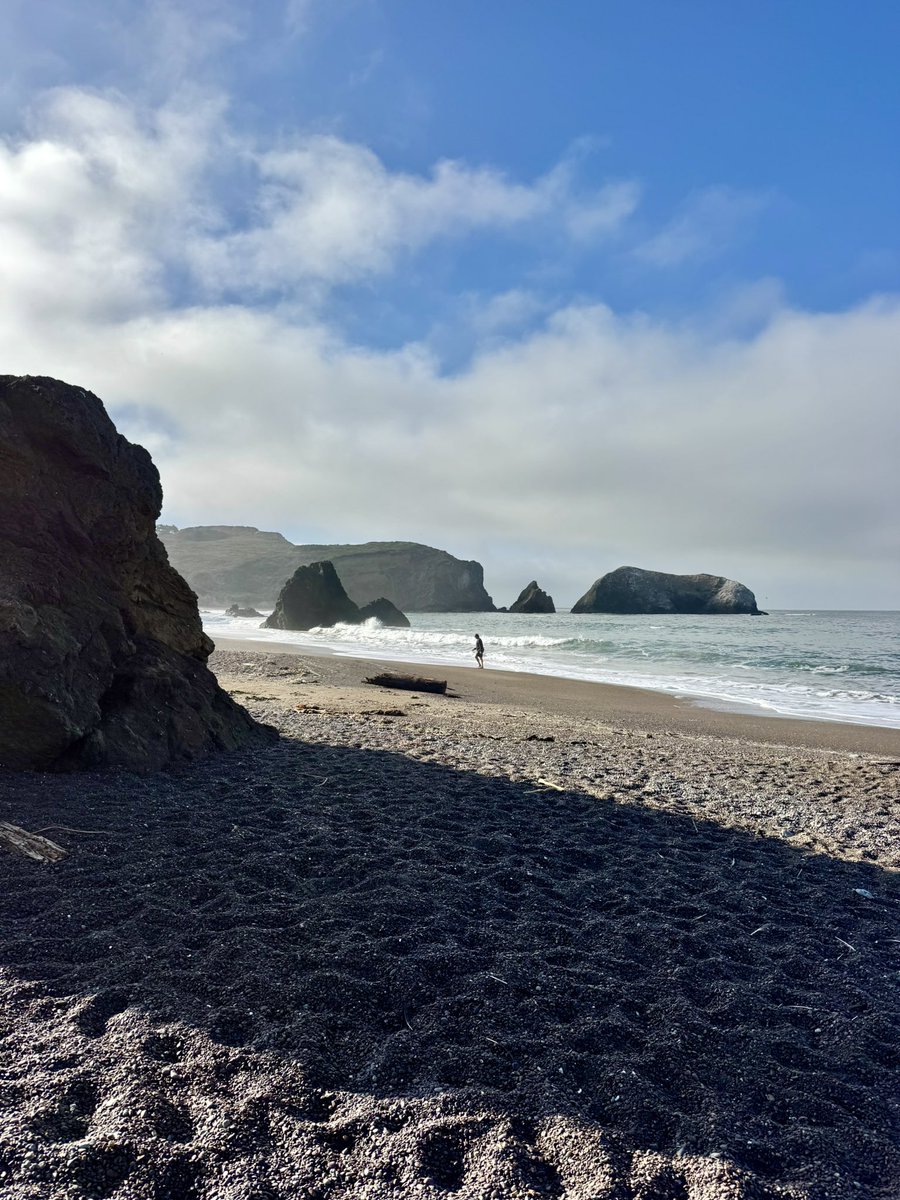 FedericoNoemie's tweet photo. one of life’s greatest pleasures is bullying friends into walking places you could easily have driven to 

we did 31km from San Francisco to Stinson beach, it was as stupid as it was magical https://t.co/1hcQ43MyU0