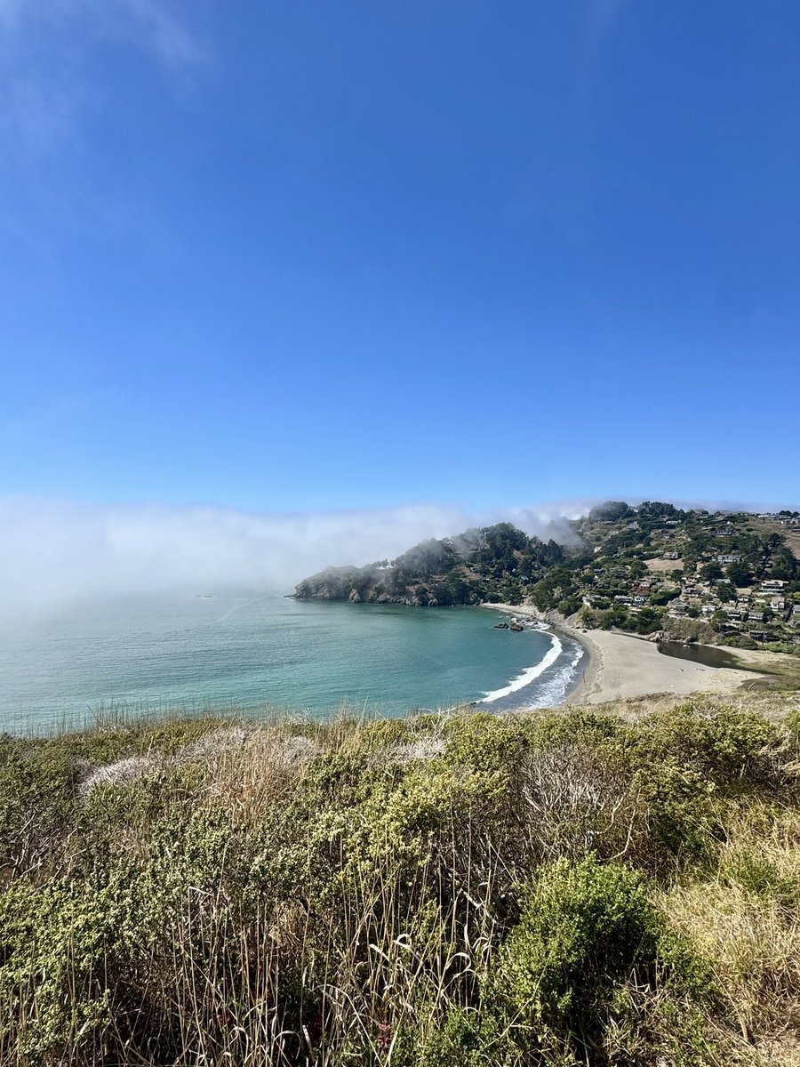FedericoNoemie's tweet photo. one of life’s greatest pleasures is bullying friends into walking places you could easily have driven to 

we did 31km from San Francisco to Stinson beach, it was as stupid as it was magical https://t.co/1hcQ43MyU0