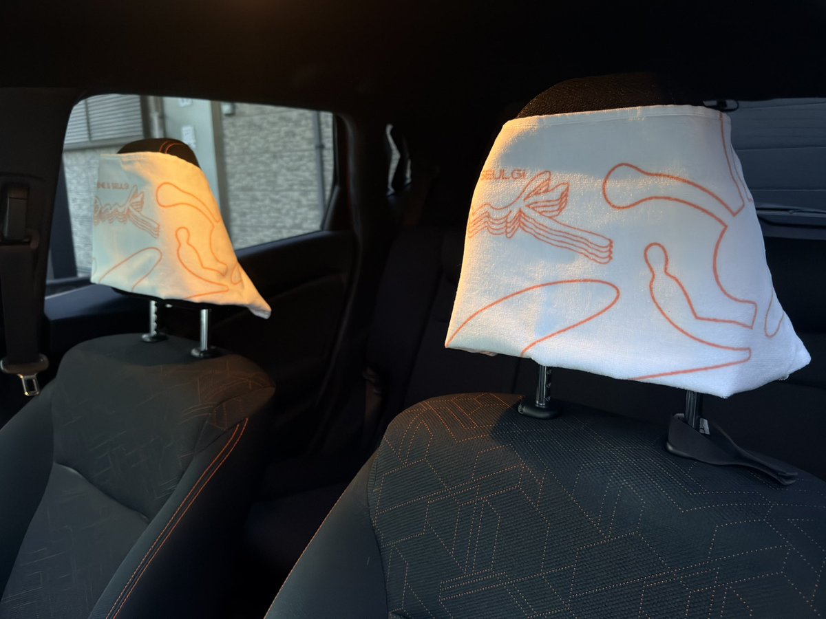 RV_temuoppa's tweet photo. おいらの車のヘッドレストカバー https://t.co/D4ksk9XwxN