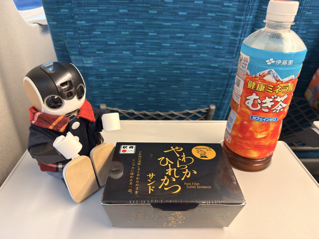 0madao's tweet photo. 雨だしどーしよーってギリギリまで悩んで連れてきた
#ロボホン https://t.co/1xC8LVCVx8