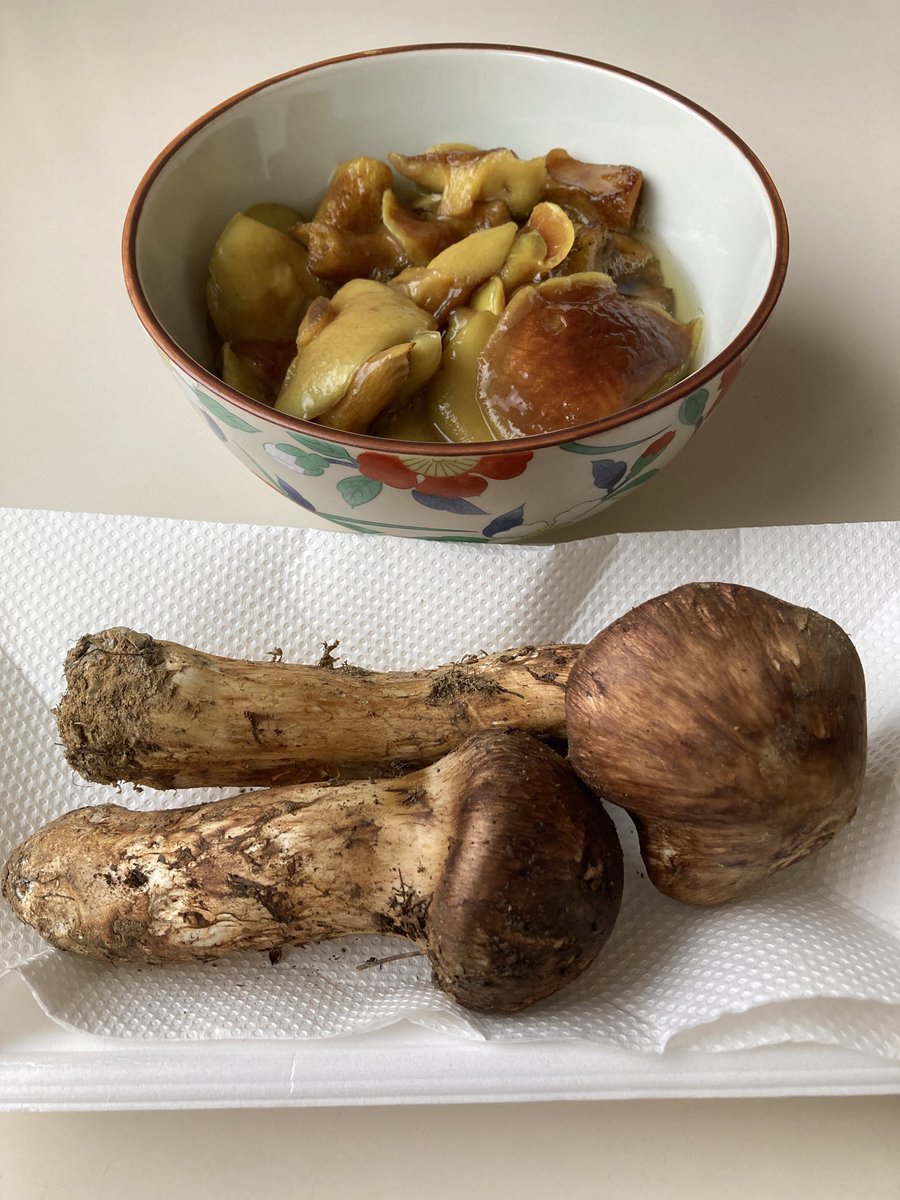 wobble_xy's tweet photo. 秋の味覚🍄‍🟫いただいたーー！今年は豊作らしい
ジコボウは下処理してくれてあって
松茸はルームフレグランス https://t.co/GRN3JzV6RC