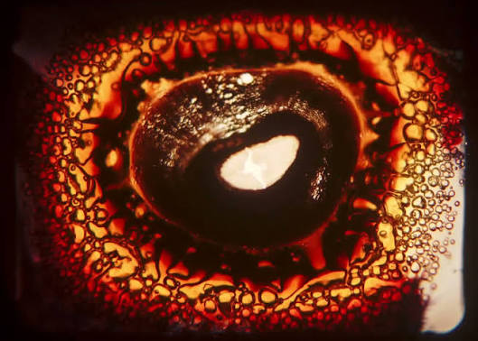 CadBane28's tweet photo. @TheStingisBack Resident Evil extinction at the drive thru film got burnt from the projector during the flamethrower scene and I thought it was part of the movie. https://t.co/b0v4a2oAkX