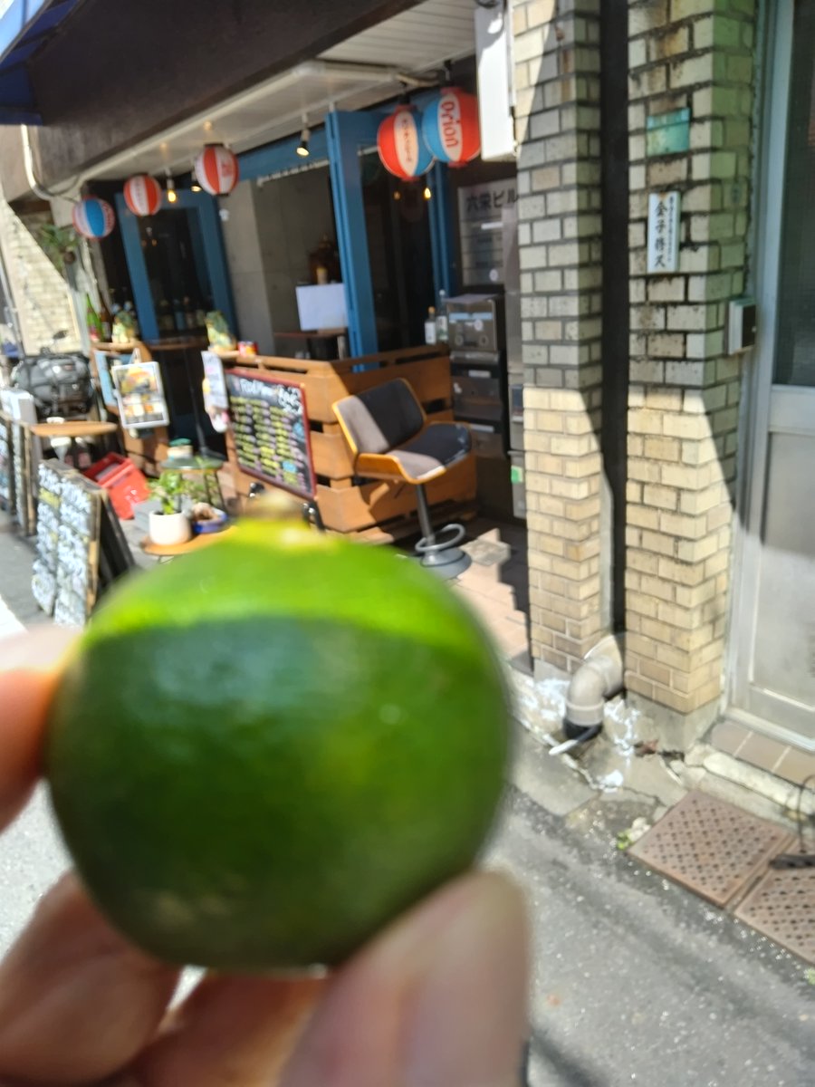 fujigen6's tweet photo. 少し前にできて気になっていたタコライス屋さんに行ってきました😀
沖縄は好きで何度も行ってるのですが、特にタコライスが好きです🌊
シークワーサーくれました😃
#CRAZYTACOBARπ #CRAZYTACO #クレイジータコ #大塚 https://t.co/OGF8eI6d6E