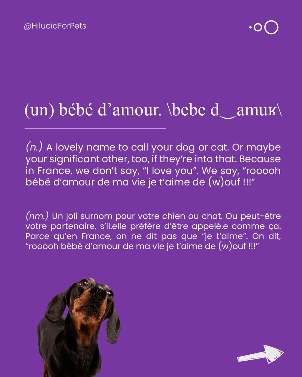 sofiathompsonw5's tweet photo. Bonjour! It’s French Language Day—the day we shine. We’re based in France and here to teach our English-speaking audience a little French. It’s easy, we promise. Let’s start with a few simple words—no need to mention gender yet. https://t.co/GiplW4fYvY