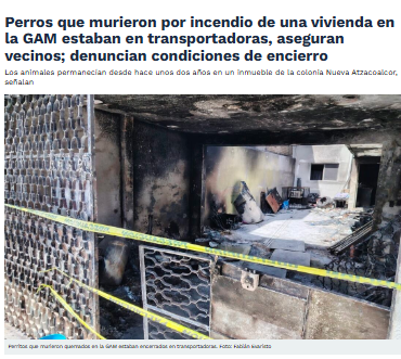 YoAmoaLaCiencia's tweet photo. ¿Sí funcionan las cámaras del C5 del gobierno de Brugada? 13 perros murieron en un incendio por pirotecnia y no hay detenidos

No hay ningún detenido por el incendio la madrugada del 16 de septiembre en la alcaldía Gustavo A. Madero, después de que un cohete cayó dentro de una vivienda y comenzó un incendio. 

Bomberos confirmó la muerte de 13 perros y el rescate con vida de uno más.

El gobierno de Brugada aseguró ese mismo día que serían revisadas cámaras de la zona para identificar a quien lanzó la pirotecnia. 

Pero ya pasó más de una semana y no hay información pública sobre detenciones, ni del avance de la investigación.

Brugada ha asegurado que una de sus principales inversiones en seguridad son las cámaras de vigilancia, llegando a afirmar que gracias a su gobierno la CDMX “es la ciudad más videovigilada del continente”. 

Entonces, ¿por qué Pablo Vázquez al frente de la Secteraría de Seguridad Ciudadana no ha dado con los responsables de este incendio?

 ¿Casualmente en esa calle “todavía no había cámaras" o “no funcionaban”?

Porque tener más de cien mil cámaras es inutil cuando ocurre un hecho perfectamente localizado, nueve días después no existe un resultado público y las autoridades dependen de que un vecino tenga algún video.

En este caso, el periodista Fabián Evaristo documentó que vecinos aseguraron que nadie vive en este domicilio y que los perros permanecían solos dentro de transportadoras y otros encerrados en un cuarto.

Después del incendio todavía podían observarse dentro del inmueble restos de jaulas y transportadoras quemadas, lo que agrega más elementos de investigación para la Fiscalía.

Ya que algunos perros pudieron estar encerrados durante el incendio, sin la posibilidad de escapar mientras que se quemaban.

La Fiscalía de Bertha Alcalde debe establecer dónde fue encontrado cada cuerpo, si había perros dentro de transportadoras, encerrados en habitaciones o amarrados. 

Además de realizar el peritaje para determinar en qué condiciones se encontraban antes del incendio, aunque murieran a causa del incendio esto no elimina una posible historia previa de maltrato.

PAOT ya tenía una denuncia de maltrato con estos animales, la procuradora Mónica Alegre reconoció que su personal acudió al domicilio, no encontró al dueño y dejó un citatorio. 

Después aceptó como evidencia de que “estaban bien”  fotos que envió el propio acusado de maltrato y que apenas preparaban otra visita cuando ocurrió el incendio.

La comunicación pública del gobierno de Brugada se concentró en quitar responsabilidad a la PAOT, cuando su falta de seguimiento a una denuncia previa por maltrato pudo haber sido un factor relevante en las condiciones en las que murieron esos animales.

La titular de la Agencia de Atención Animal, Ana Villagrán, se adelantó a los comunicados de la Fiscalía y publicó “a título personal” que había sido un “acto criminal”, señaló la posible participación de tres menores y exigió responsables en la cárcel.

¿Cómo es que Villagrán tiene más información que la Secretaría de Seguridad Ciudadana?

Su publicación es una crítica directa al propio gobierno de Brugada, ya que exhibe que no hay detenidos y que dos de los principales responsables de la seguridad en la ciudad, Pablo Vázquez y Bertha Alcalde, siguen sin dar resultados. 

¿Por unos likes exhibió al propio gobierno al que pertenece?

Más de 600 millones de pesos destinados a cámaras y sistemas de videovigilancia, pero cuando esas cámaras realmente se necesitan para identificar responsables de asaltos, venta de drogas, acoso, violencia y otros delitos, demasiadas veces “no funcionan” o no producen resultados.