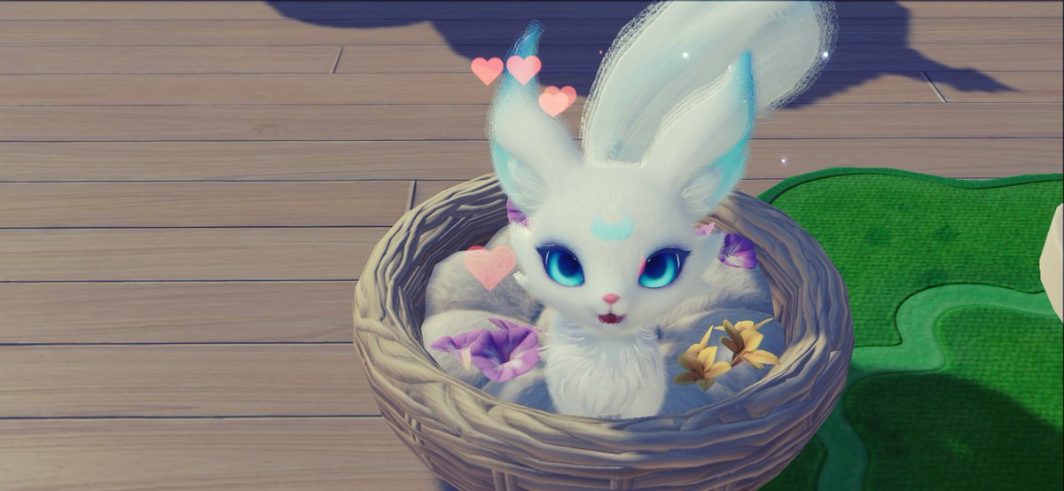 S2Pixi's tweet photo. 待って可愛過ぎてしぬ
なんだこのべっぴんさんは！
フレンド申請くれた方々ありがとうございます！
全く何をすればいいのかわからないので調べて分かり次第何かします！
とりあえずキャンプ場？少し家具置いた！
センス皆無> ̫ < https://t.co/Rshz3Ch6Kh