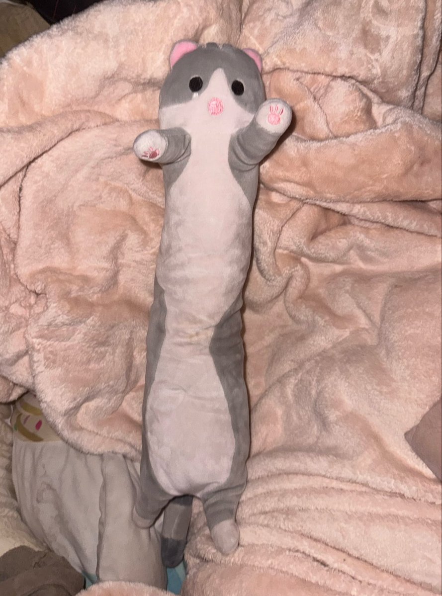 HengieHeng's tweet photo. todays plushie !!
any names ?! https://t.co/iZI7p3lanr