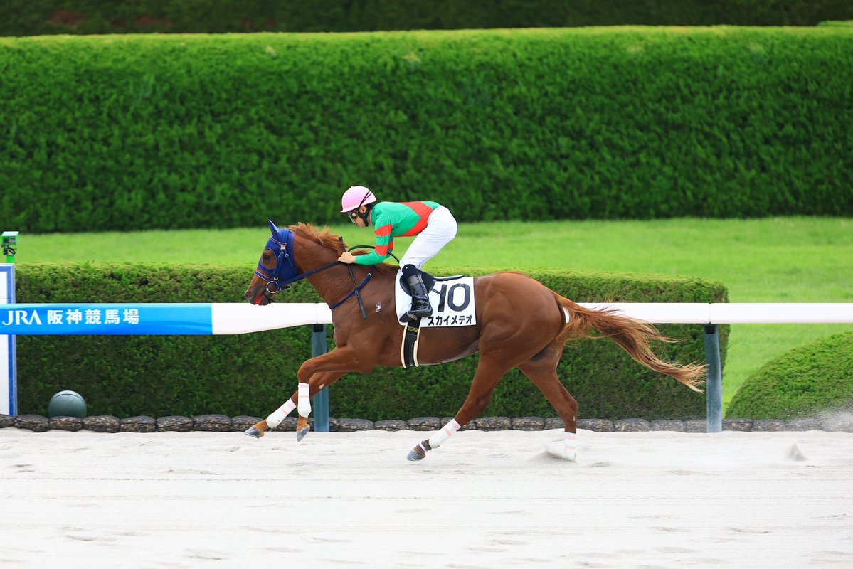 toshicky's tweet photo. 阪神・スカイメテオ
8馬身差‼️の快勝でした㊗️🎉🎉🎉
タイムもよく先々も楽しみです😊
菱田ジョッキーはhappy birthday🍰WIN
小椋研介調教師、厩舎の皆さん、他関係各位の皆さんありがとうございました🙏 https://t.co/1kHcxpTTnR