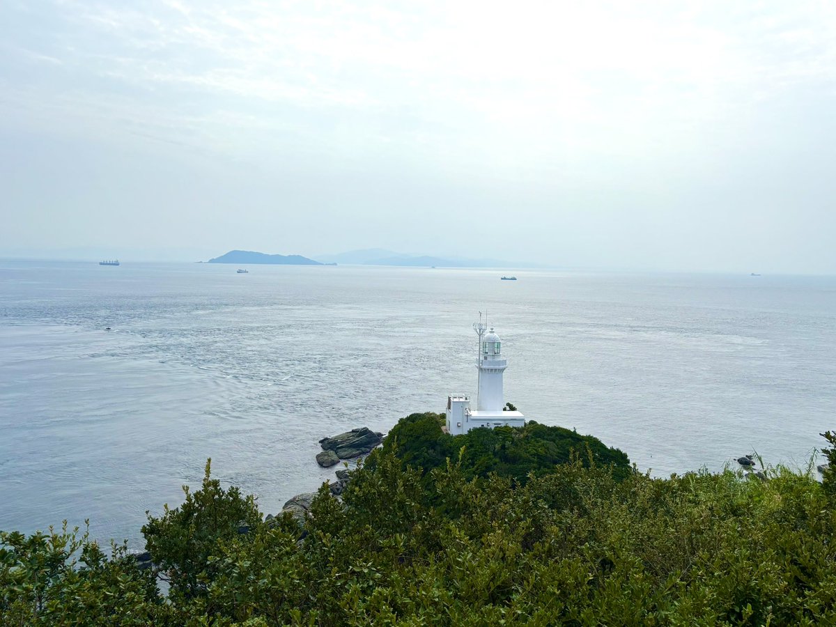 mikkon_0105's tweet photo. 四国最果ての地へ🚙💨
350°見渡す限り海〜🌊
Earthを感じました🌏

#佐田岬(四国の左の先っぽ)
#風車
#愛媛県🍊 https://t.co/mbq0RITeEK