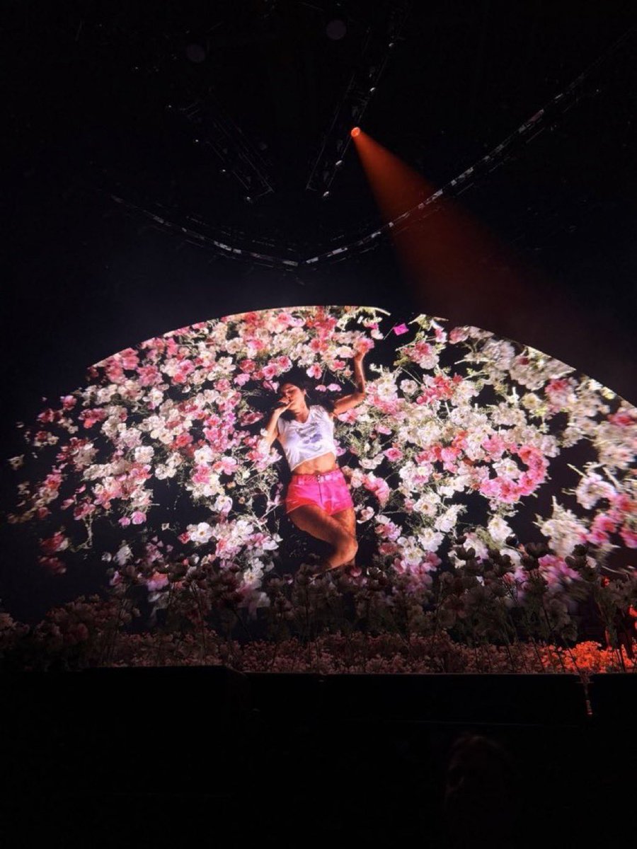 15thtrackonguts's tweet photo. Songs that didn’t make ‘The Unraveled Tour’ setlist

SOUR:
brutal, 1sf3sb, enough for you, happier, jealousy, jealousy, hope ur ok

GUTS:
lacy, logical, get him back, love is emb, the grudge, pretty isnt pretty, obsessed, giab, scared of my guitar

yspsfagsil:
whats wrong with me https://t.co/URt4xIF57T