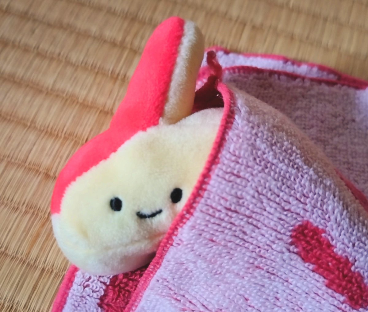 izumitei's tweet photo. 昨日はしゃぎすぎて今日はのんびりさんです
私もこれから夜まで仕事行ってきます〜！ https://t.co/ArQ8qSogwi