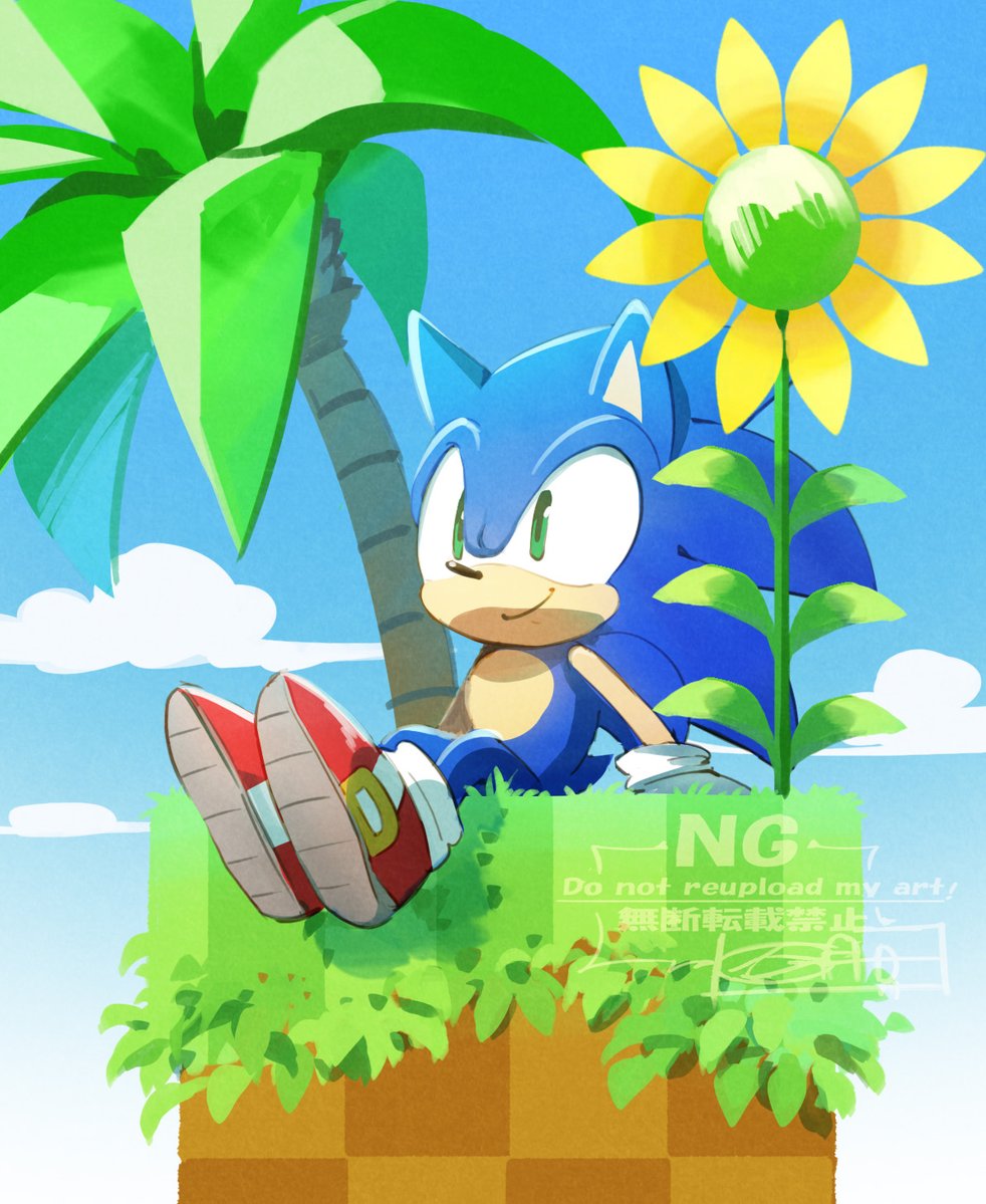 shaodw22's tweet photo. 🌴ソニック🌴 https://t.co/flAC1rgDN8