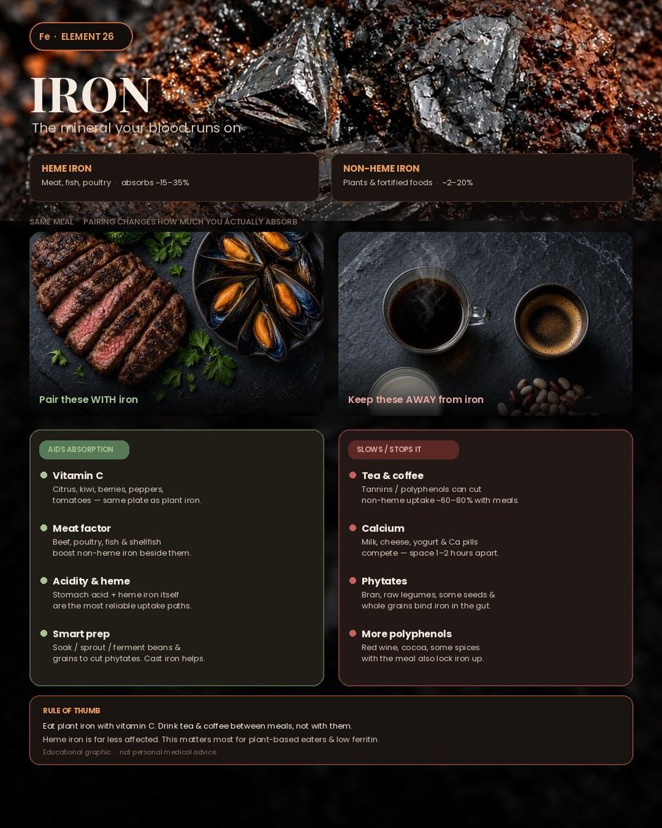 BarnesyX's tweet photo. Iron is not just “eat more spinach.”

Your body treats two forms of iron very differently.

Heme iron (meat, fish, poultry) is absorbed at about 15–35% and is relatively stubborn — most food pairings barely touch it.
Non-heme iron (plants, eggs, fortified foods) can swing from about 2% to 20% depending on what sits on the same plate.

Pair with iron • Vitamin C — citrus, kiwi, berries, peppers, tomatoes • The meat factor — a little beef, chicken, fish, or shellfish next to lentils or greens • Acid + prep — soak, sprout, or ferment beans and grains; cook in cast iron if you want extra iron in the food

Keep away from the iron course • Tea and coffee — tannins can slash non-heme absorption by ~60–80% when drunk with the meal • Calcium — milk, cheese, yogurt, and calcium pills compete; leave 1–2 hours • Phytates — bran, unsaked legumes, some seeds and whole grains bind iron • Extra polyphenols — red wine, cocoa, some spices at the same moment

Rule of thumb: squeeze lemon on the lentils. Drink the espresso after, not during.