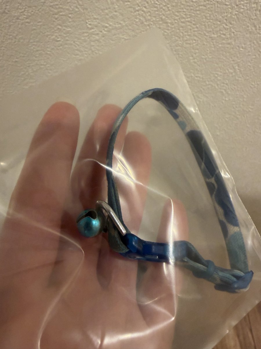 amane_slc's tweet photo. 追加で、首輪の画像だけこちらにアップします。
こちらの首輪をつけたこでした https://t.co/bK4E00MEe8