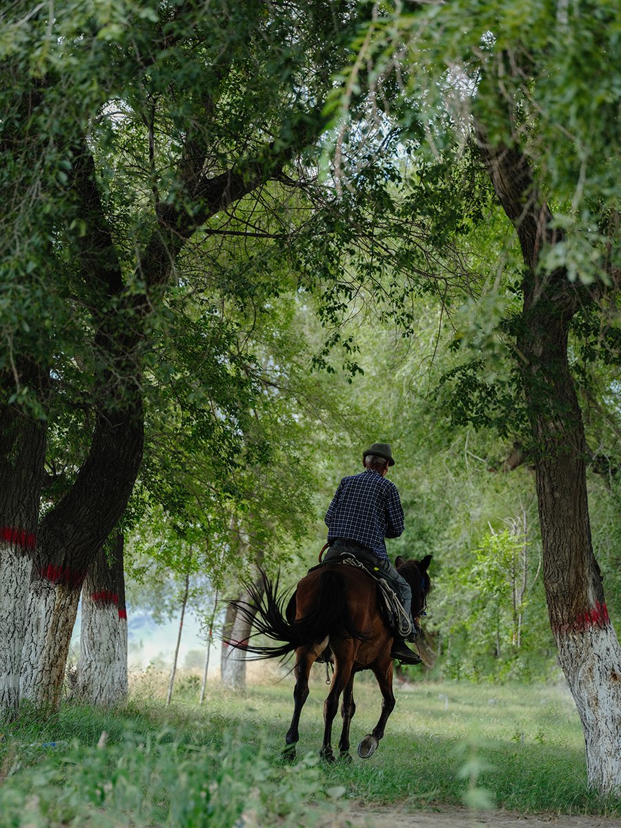 Weekand_comes's tweet photo. A man rides a horse that carries a shallow bag, he looks free and pleasant, truly a way to trot through ordinary days. https://t.co/c7QUpgxofu