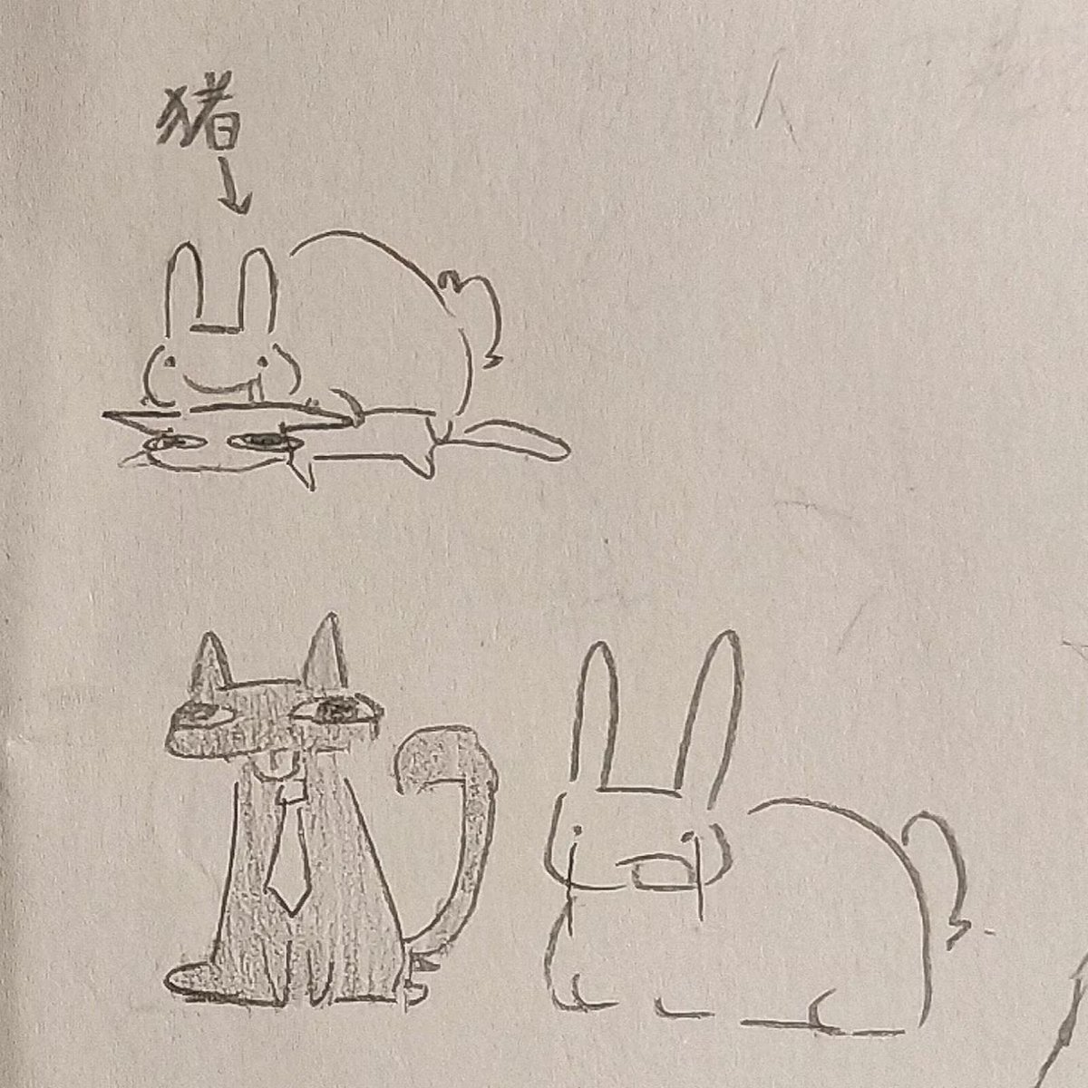 anmianyao_67's tweet photo. 我的朋友给我画的！！
我非常喜欢这个
#animalhospital #secretintern #internagent https://t.co/r7xht7DVAX